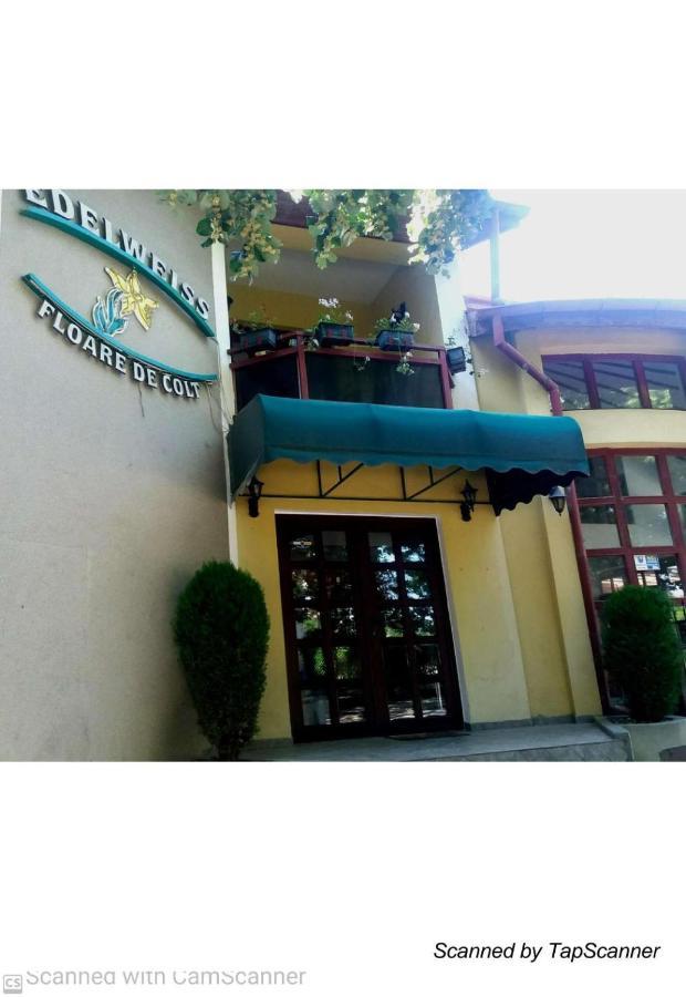 Pension Edelweiss Exterior foto