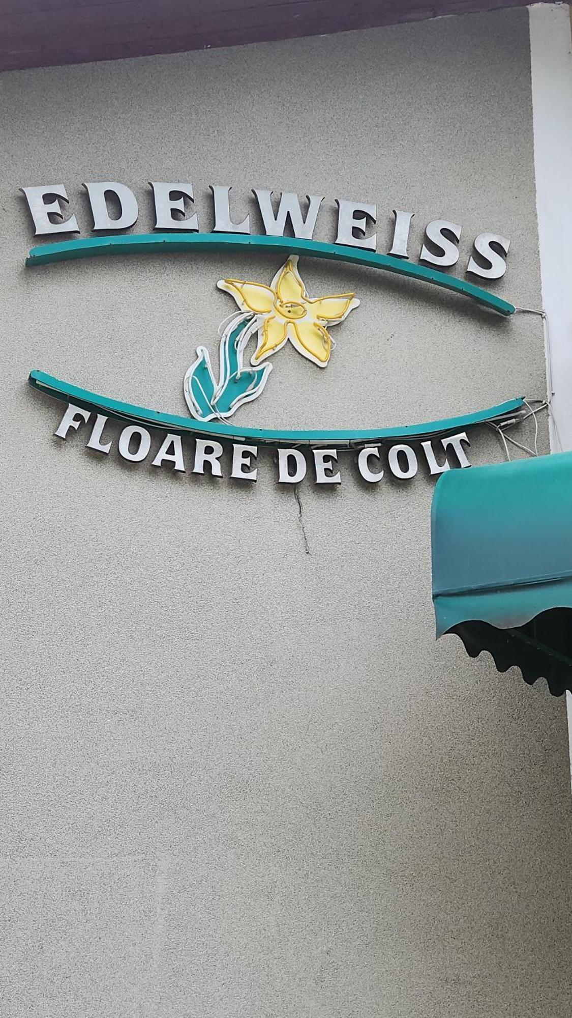 Pension Edelweiss Exterior foto
