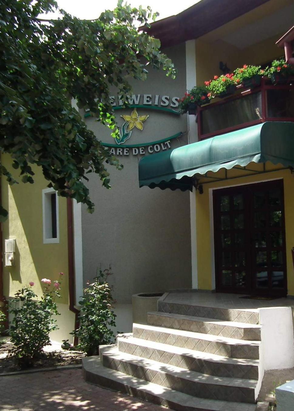 Pension Edelweiss Exterior foto